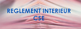 Rglement Intrieur CSE